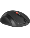 defender Mysz bezprzewodowa ULTRA MM-315 RF czarna 1600 dpi 6P - nr 6