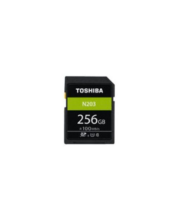 Toshiba sd-card exceria r100 n203 256gb (85089)