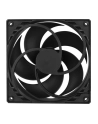 arctic cooling WENTYLATOR ARCTIC P14 140mm Black - nr 8