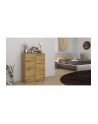 top e shop KOMODA 2 DRZWI 2 SZUFLADY ARTISAN - nr 4