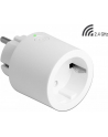 DeLOCK WLAN socket MQTT, switch socket (Kolor: BIAŁY, with energy monitoring) - nr 13