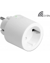 DeLOCK WLAN socket MQTT, switch socket (Kolor: BIAŁY, with energy monitoring) - nr 21