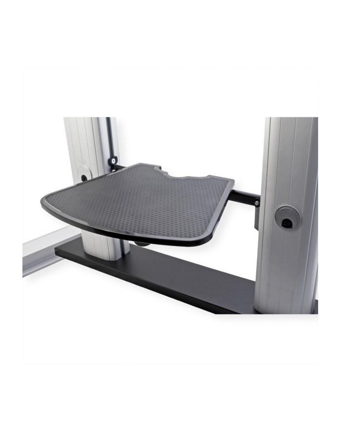 ROLINE 17031261 stojak podłogowy do telewizora 2,54 m (100 główny