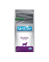 FARMINA Vet Life Oxalate Dog - karma dla psa - 2kg - nr 1