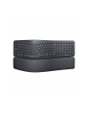 Logitech 920-009168 ERGO K860 - GRAPHITE - PAN - NORDIC - nr 12