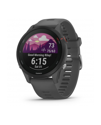 Garmin Forerunner 255 Popielaty 010-02641-10