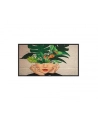 Philips 32Bdl4511D D Line 32 Led Backlit Lcd Display Full Hd For Digital Signage (32BDL4511D00) - nr 6