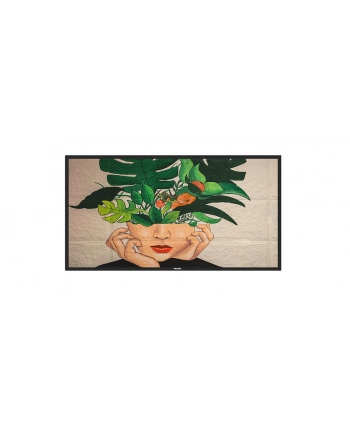 Philips 50Bdl4511D D Line 50 Class (49 5 Viewable) Led Backlit Lcd Display 4K For Digital Signage (50BDL4511D00) nr 2