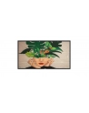 Philips 50Bdl4511D D Line 50 Class (49 5 Viewable) Led Backlit Lcd Display 4K For Digital Signage (50BDL4511D00) - nr 7