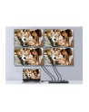 Equip 332717 HDMI 4x HDMI - nr 23