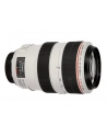 Canon EF 70-300mm 1:4.0-5.6 L IS USM - nr 12