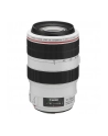 Canon EF 70-300mm 1:4.0-5.6 L IS USM - nr 13