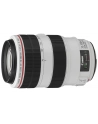Canon EF 70-300mm 1:4.0-5.6 L IS USM - nr 6