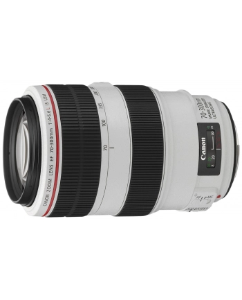 Canon EF 70-300mm 1:4.0-5.6 L IS USM nr 1