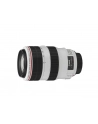 Canon EF 70-300mm 1:4.0-5.6 L IS USM - nr 7