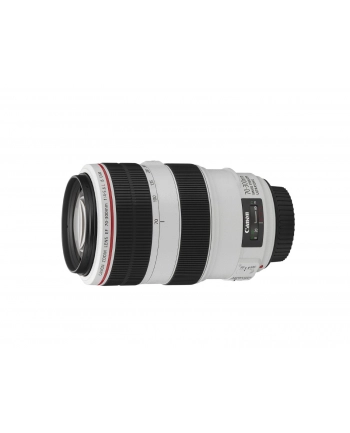 Canon EF 70-300mm 1:4.0-5.6 L IS USM nr 2