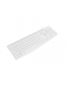natec Klawiatura Nautilus US slim Biała - nr 16