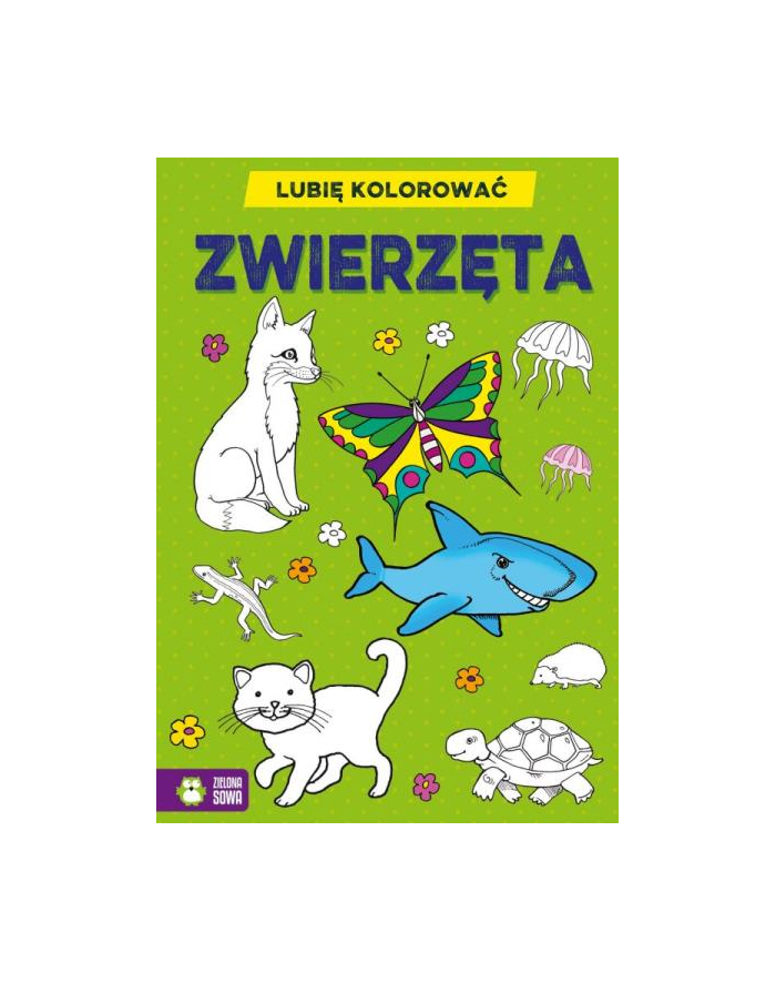 zielona sowa Książka Lubię kolorować. Zwierzęt główny