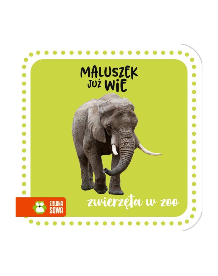 zielona sowa Książka Maluszek już wie. Zwierzęta w zoo główny