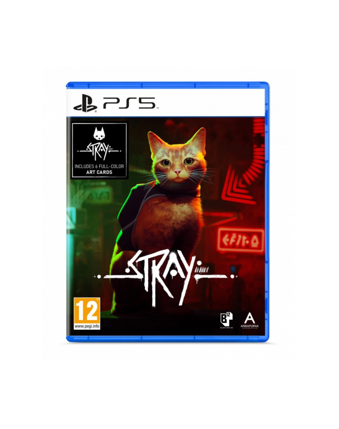 koch Gra PS5 Stray główny