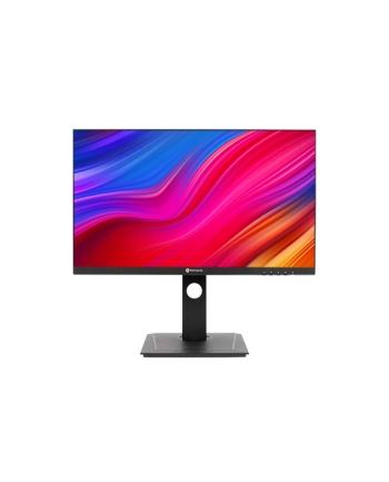 ag neovo Monitor DW2401 23.8 cala USB-C WQHD  czarny