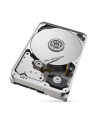 seagate Dysk IronWolf Pro 18TB 3,5 ST18000NT001 - nr 43