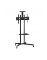 techly Mobilny stojak do tv 37-70 cali 50kg, dwie półki - nr 17