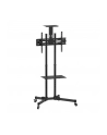 techly Mobilny stojak do tv 37-70 cali 50kg, dwie półki - nr 1