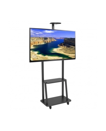 techly Stojak mobilny do TV 32-70 cali 60kg z półką nr 2