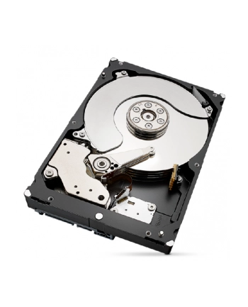 seagate Dysk IronWolfPro 6TB 3.5' 256MB ST6000NT001 nr 1