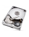 seagate Dysk IronWolfPro12TB 3.5'' 256MB ST12000NT001 - nr 66