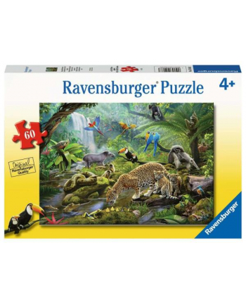 Puzzle 60el Zwierzęta z lsu tropikalnego. 051663 Ravensburger