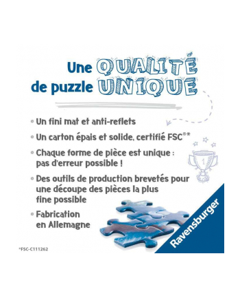 Puzzle 2000el Pod wodą 171156 Ravensburger