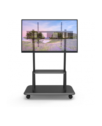 techly Mobilny stojak do tv 55-150 cali 150kg, tablica interaktywna