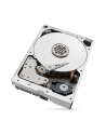 seagate Dysk IronWolfPro 10TB 3.5'' 256MB ST10000NT001 - nr 46