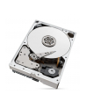 seagate Dysk IronWolfPro 10TB 3.5'' 256MB ST10000NT001 - nr 57