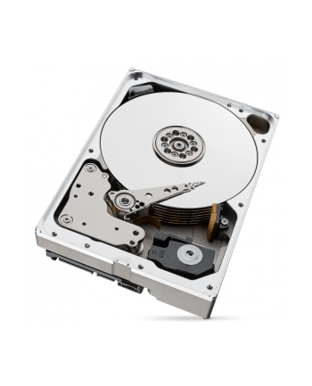 seagate Dysk IronWolfPro 10TB 3.5'' 256MB ST10000NT001