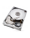 seagate Dysk IronWolfPro12TB 3.5'' 256MB ST12000NT001 - nr 76