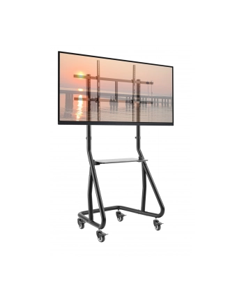 TECHLY Stojak Mobilny do Telewizora 60-105inch 80kg z Półką AV nr 2