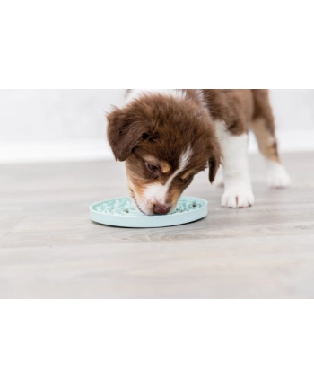 trixie Junior taca na smakołyki Licking Plate  śr15 cm