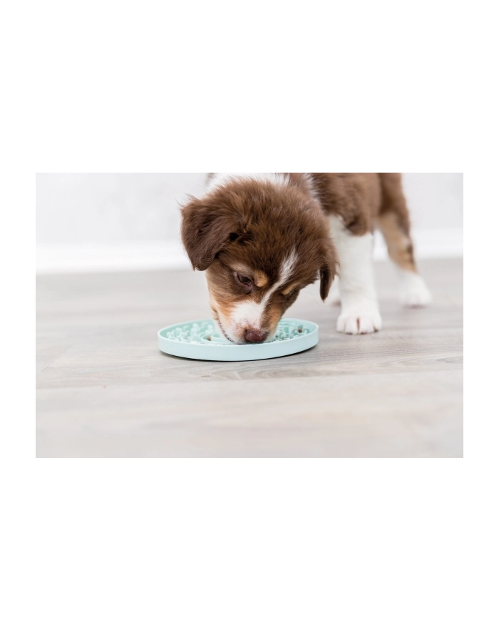 trixie Junior taca na smakołyki Licking Plate  śr15 cm główny