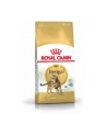 ROYAL CANIN Bengal Adult 2kg - nr 4