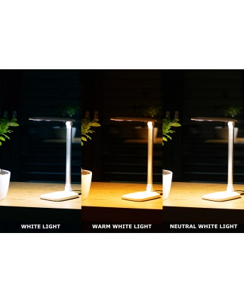 MONTIS MT042 LAMPKA BIURKOWA LED BIAŁA 230V + USB nr 1