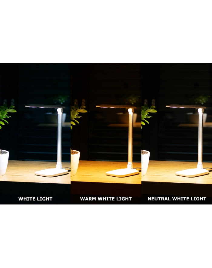 MONTIS MT042 LAMPKA BIURKOWA LED BIAŁA 230V + USB główny