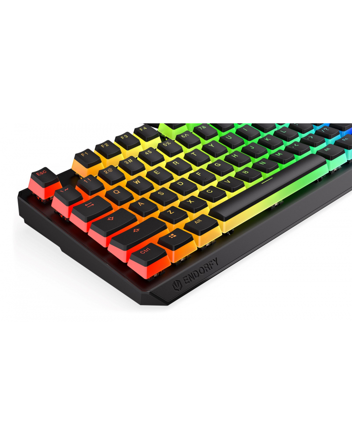 Klawiatura gamingowa ENDORFY Thock TKL Pud Kailh BR RGB główny