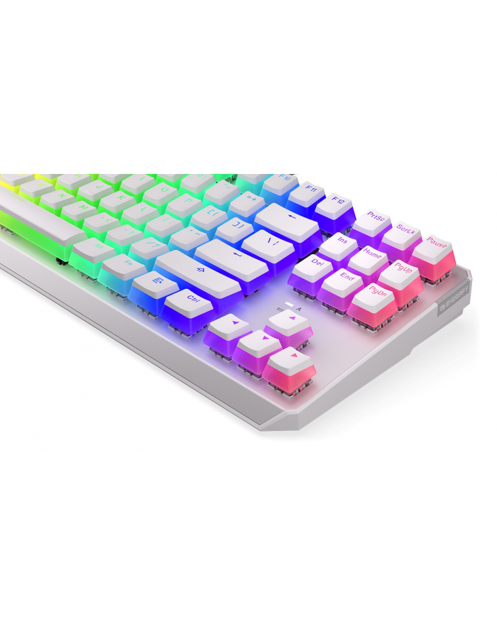 Klawiatura gamingowa ENDORFY Thock TKL OWH P Kailh BL RGB główny