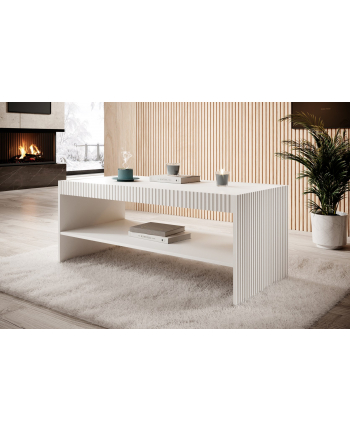 cama meble Ława/Stolik PAFOS 120x60xH50 biały mat