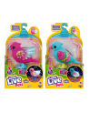 cobi Little Live Pets 26401 Ptaszek ćwierkająco-mówiący, świecący mix cena za 1 szt - nr 1