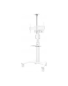 NEOMOUNTS BY NEWSTAR AFLS-825WH1 Floor Accessory White - nr 37