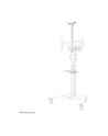 NEOMOUNTS BY NEWSTAR AFLS-825WH1 Floor Accessory White - nr 38